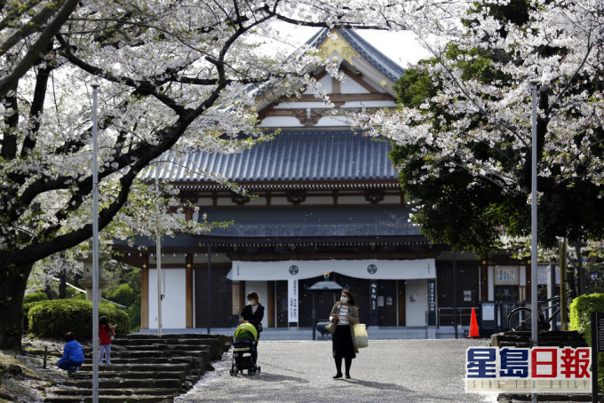 東京不少民眾漠視疫情外出賞櫻。AP