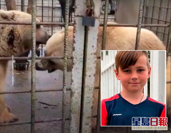男童挑釁動物園棕熊被撕成碎屍。(網圖)