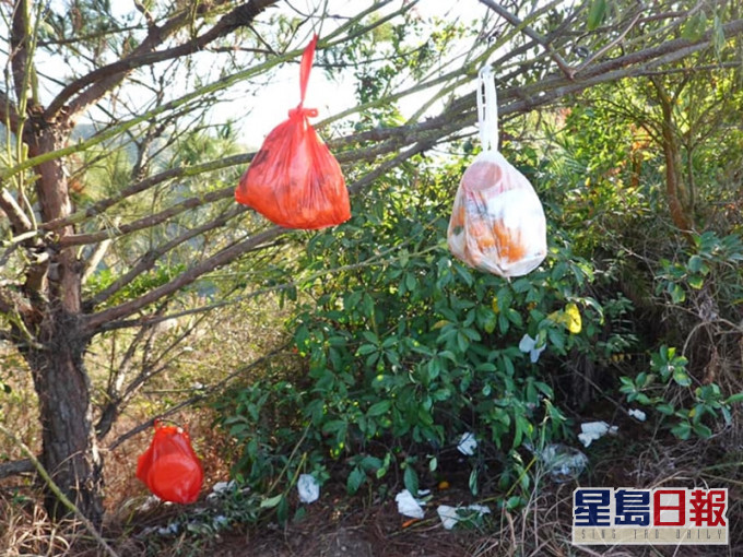 近日有網民發現,有行山客竟將一袋袋垃圾掛上樹,附近草更有大量用過的紙巾。Facebook圖片