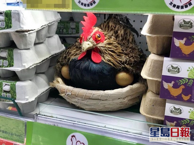 台湾卖场现「守护鸡」。Facebook群组「爆怨公社」图片