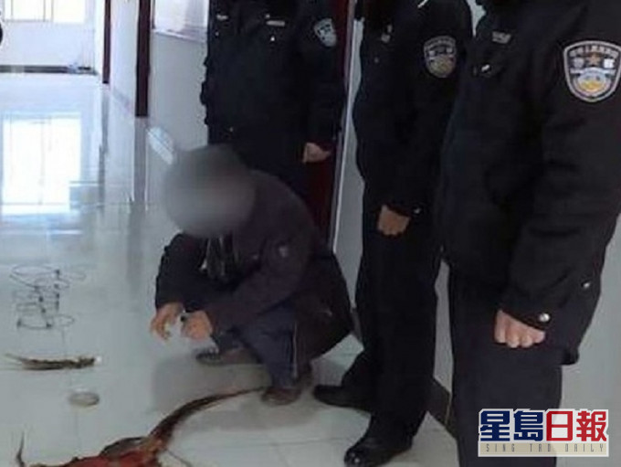 貴州男因捕獵國家保護動物,被警方刑事拘留。網上圖片