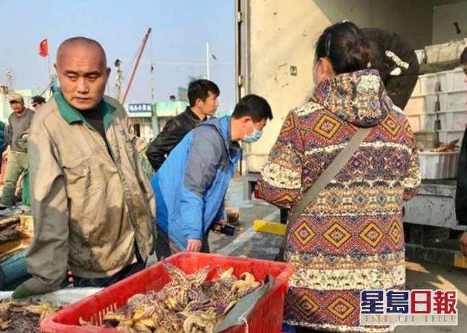 山东青岛渔户大量捕捞海星,仍无法抑制其数量。网图