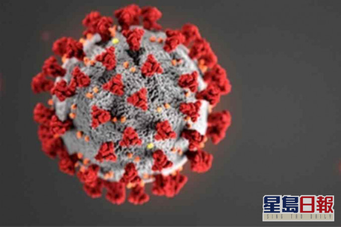 研究發現其中一個新冠病毒已變異。資料圖片