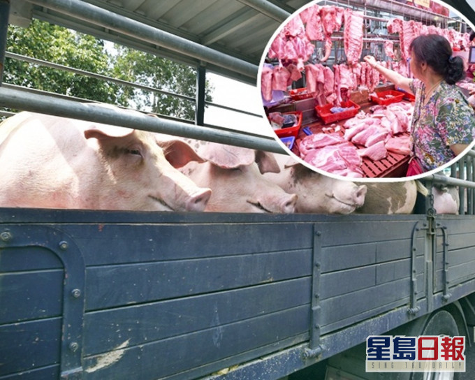 內地近日供港活豬數量減少,市民要捱貴豬肉。資料圖片