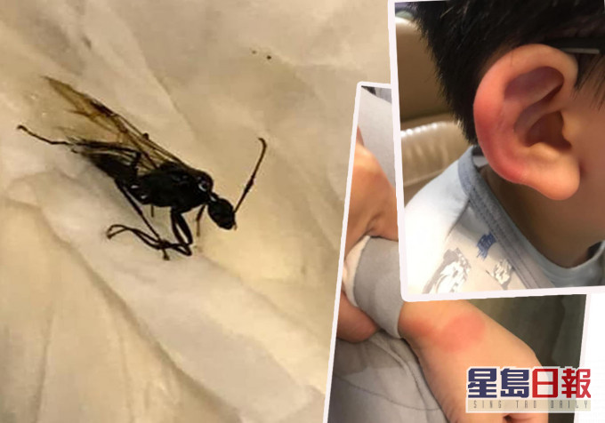 屯門好生活FB圖