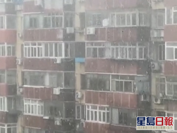 北京市民拍下盛夏「飄雪」現象。(網圖)