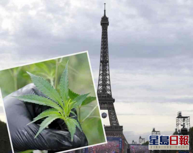 法国将在全国打击滥药和违例吸食大麻者。AP