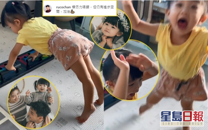 陳展鵬囡囡小豬比模仿爸爸做掌上壓,動態可愛。