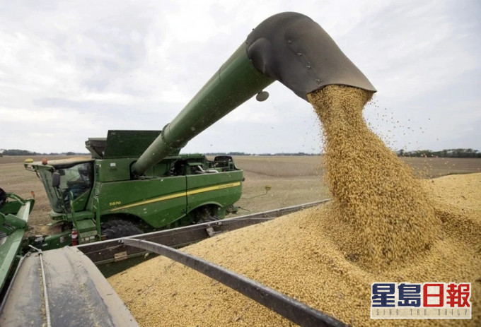 中国从巴西进口的大豆飙升至纪录高位。AP资料图片