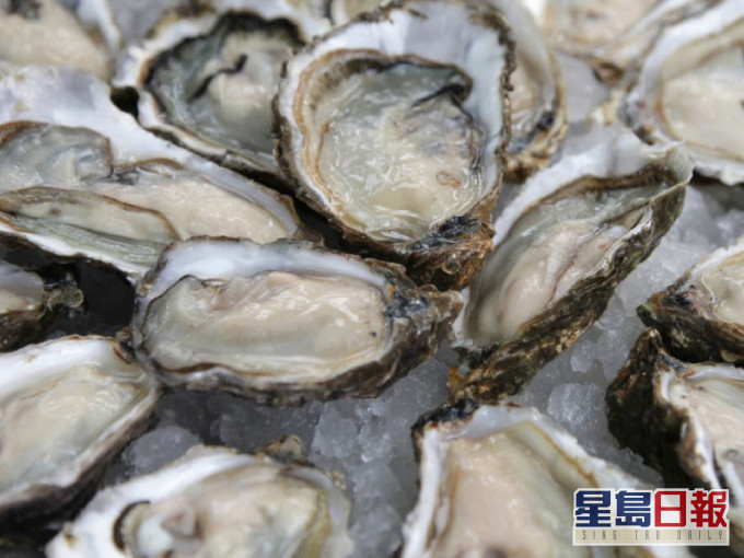 澳洲Coffin Bay出產的即食生蠔因細菌污染需要回收。資料圖片