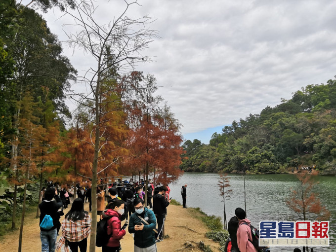 流水响水塘相当热闹。读者提供