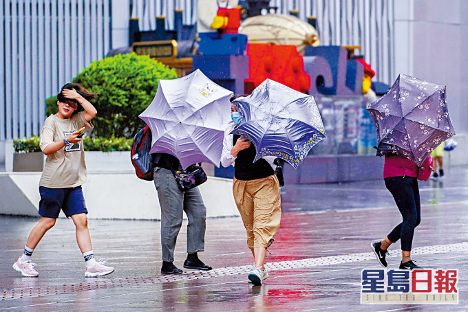 上海昨天狂風暴雨。
