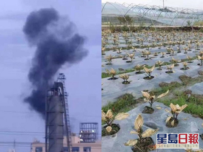 江西化工廠疑泄漏有毒氣體。網圖