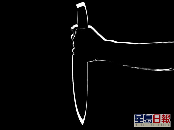 示意图。网图