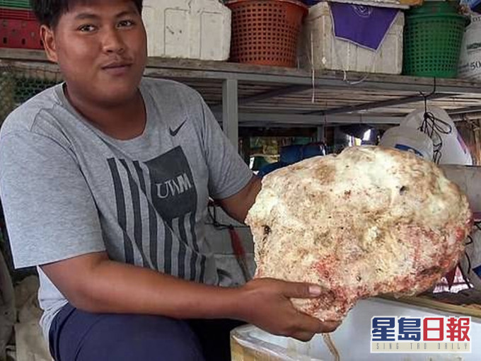 泰國漁民岸邊拾獲7kg鯨魚嘔吐物,價值高達21萬英鎊。(網圖)