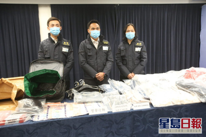 相信成功瓦解一個以越南人士為骨幹的盜竊集團。