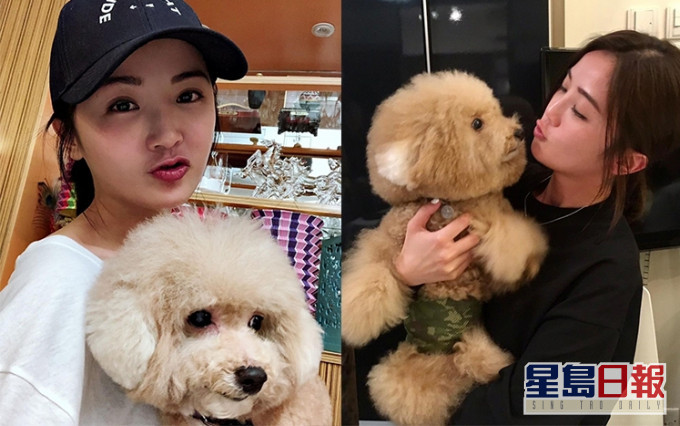 蔡卓妍一周內痛失如親人般的兩隻愛犬「柚柚」和「荔枝仔」。