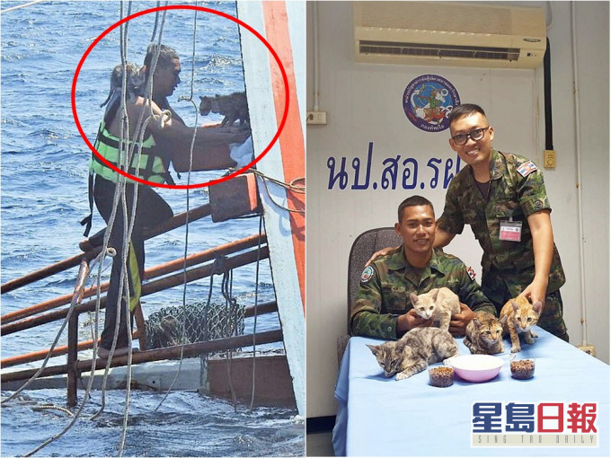 泰国一名水兵目赌4只小猫被困后，随即跳海进行救援。网图