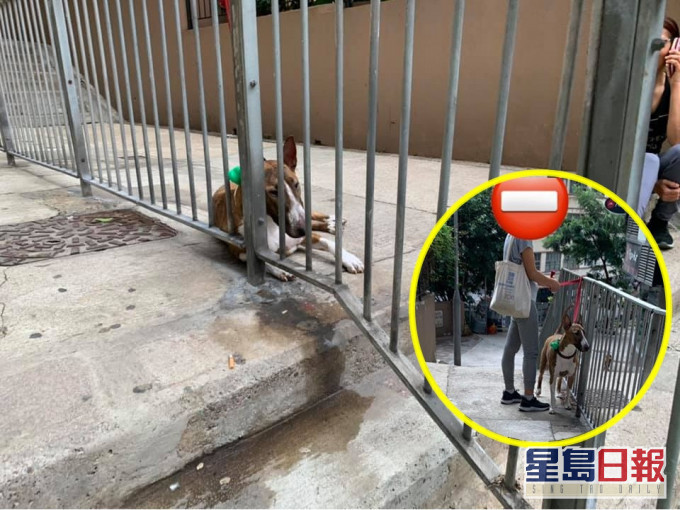 「西環變幻時」FB圖片