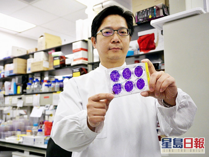 港大醫學院潘烈文教授。資料圖片