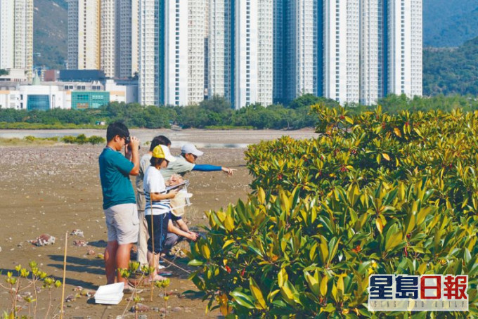 项目资助私人公司聘用应届毕业生从事与环境保护、生态保育、绿能节能等有关的工作。 资料图片
