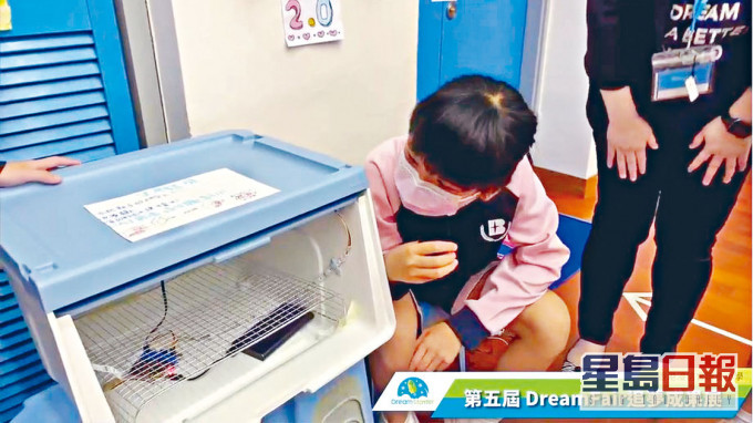 利用紫外光燈研發「智能清毒地氈」消毒燈箱。