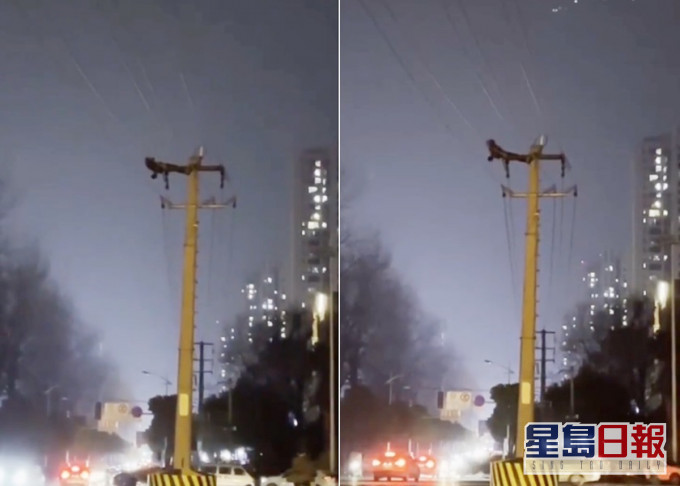成都男子爬上電線桿,導致區內逾萬戶停電。網上片段截圖