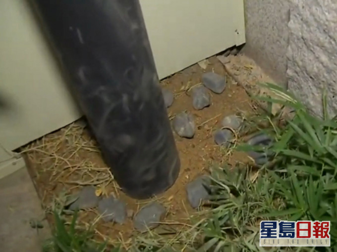 印尼船員徒手挖地洞逃出南韓隔離酒店獲刑8個月緩刑2年。(網圖)