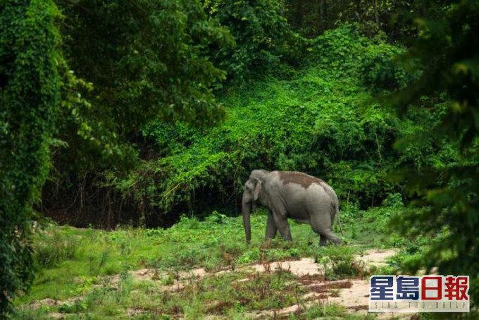 泰國國家公園局圖片