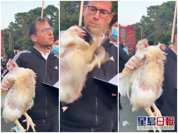 美國一名猶太男子進行贖罪儀式時，將一隻活母雞高舉，並企圖殺死牠，引來動物保護組織的不滿。「Animal Reality Exposed」Facebook影片截圖