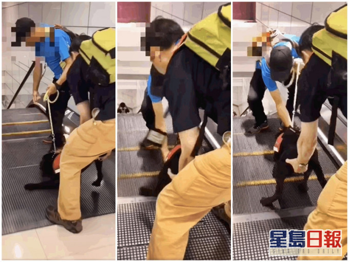 有導盲犬疑被兩名男子強制拖行至扶手電梯。網民Max Lau影片截圖