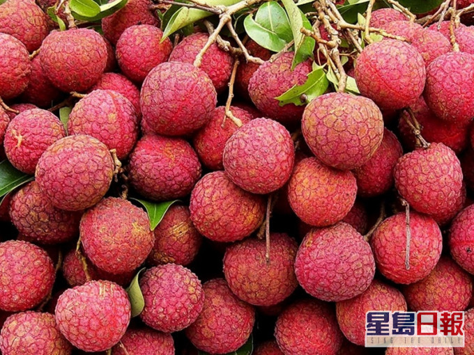小朋友空肚進食大量荔枝,可致抽搐昏迷,甚至喪命。網圖