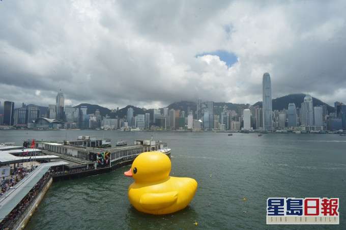 「黃鴨」重返香港。資料圖片