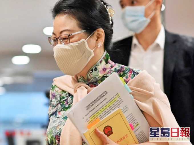 郑若骅提醒人权及自由并非绝对,且不能影响国家安全。