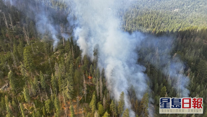美國加州發生大面積山林大火，約101公頃林木被焚毀。AP圖片