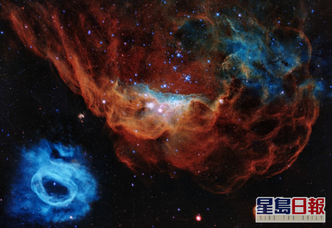 紅色星雲（NGC 2014）及其旁邊的藍色星雲（NGC 2020）。 NASA網站圖片