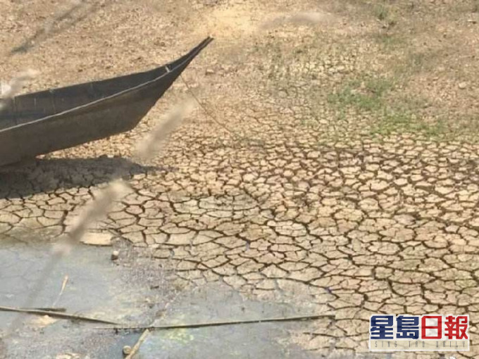 雲南遭遇10年來最嚴重旱情，近150萬人受災。(網圖)