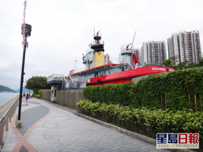 老婦在鰂魚涌公園對開海面載浮載沉。網圖