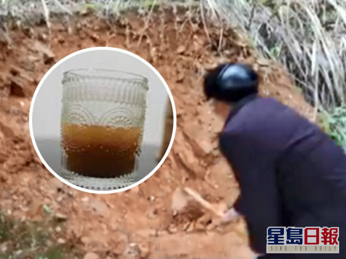 枫林村的村民会用村中一间庙旁的泥土泡水喝,声称能医百病。网图