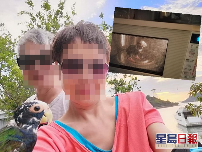 婦人涉將鸚鵡放微波爐,CID探員登門欲帶走鸚鵡遭拒。網上圖片