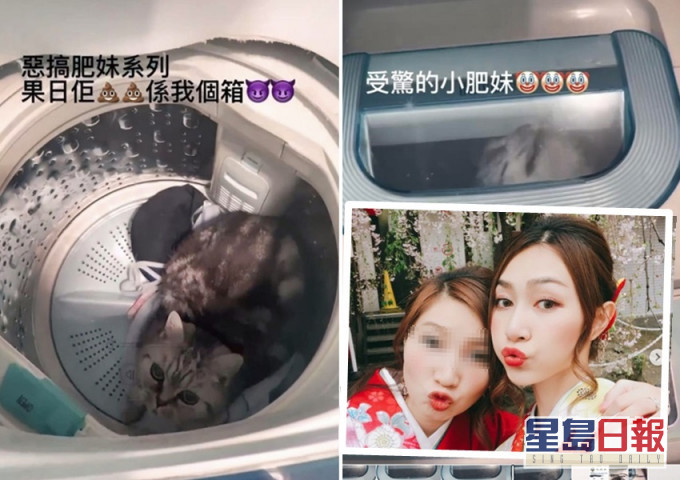 黃嘉雯(右)的胞姊將一隻貓放進洗衣機,並曾開機至少14秒,期間貓貓表現驚慌。影片截圖