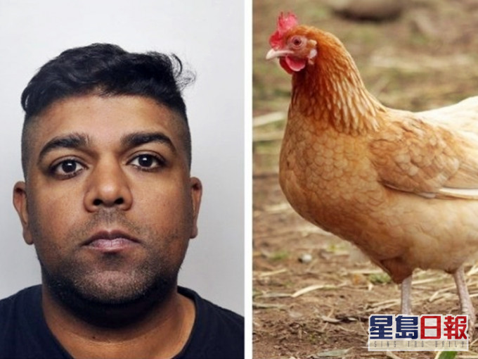 英國一名男子被揭持有兒童淫褻影片,以及曾與多隻雞隻性交。網圖