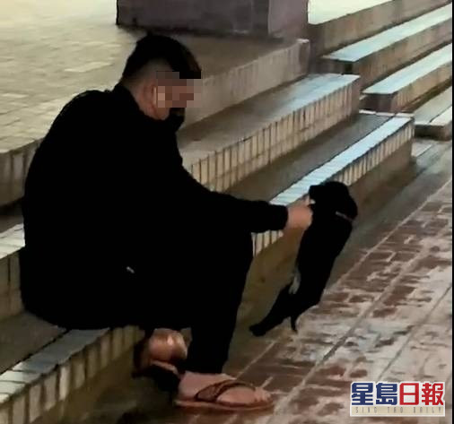男子粗暴地抓著狗仔的前肢揈来揈去。网图