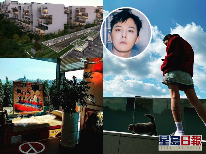 GD在ig曝光其新居,包括疑是新宠的黑猫,及他订制的BigBang全员画。
