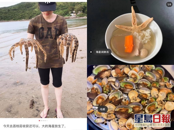 内地女在「小红书」发文教捉「海鲜」其附有海星汤食谱。 网图