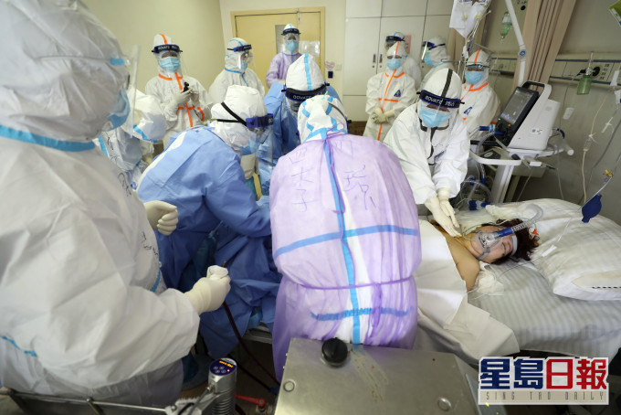 據論文表示,新冠病毒或存在快速進化變異風險。資料圖片