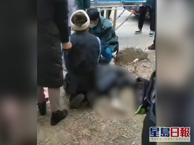 10歲男孩往窨井扔鞭炮,被炸飛5米身亡。