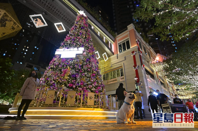 利東街中庭位置有10 米高的巨型聖誕樹。