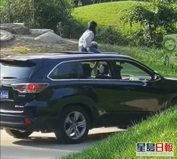 女童坐車頂遊北京野生動物園。網上圖片
