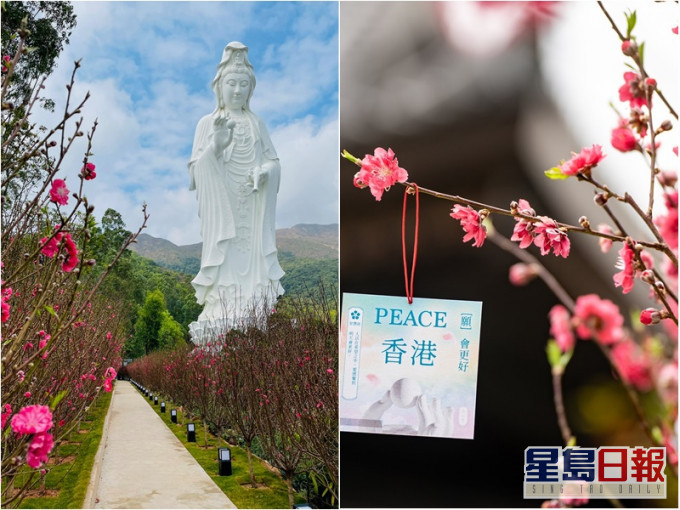 慈山寺將於農曆初七重開。慈山寺圖片